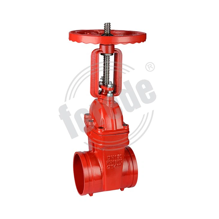 6 Rising Stem Gate Valve