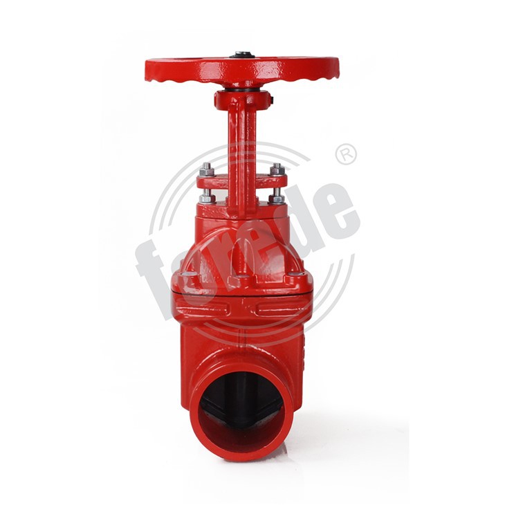 6 Rising Stem Gate Valve