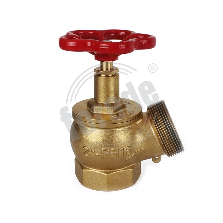 2.5 Inch Landing Valve