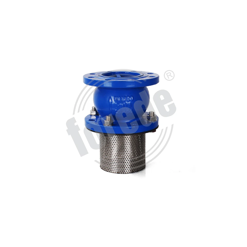 Ductile Iron Foot Valve
